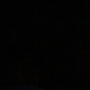 Meet your Posher, Lupe